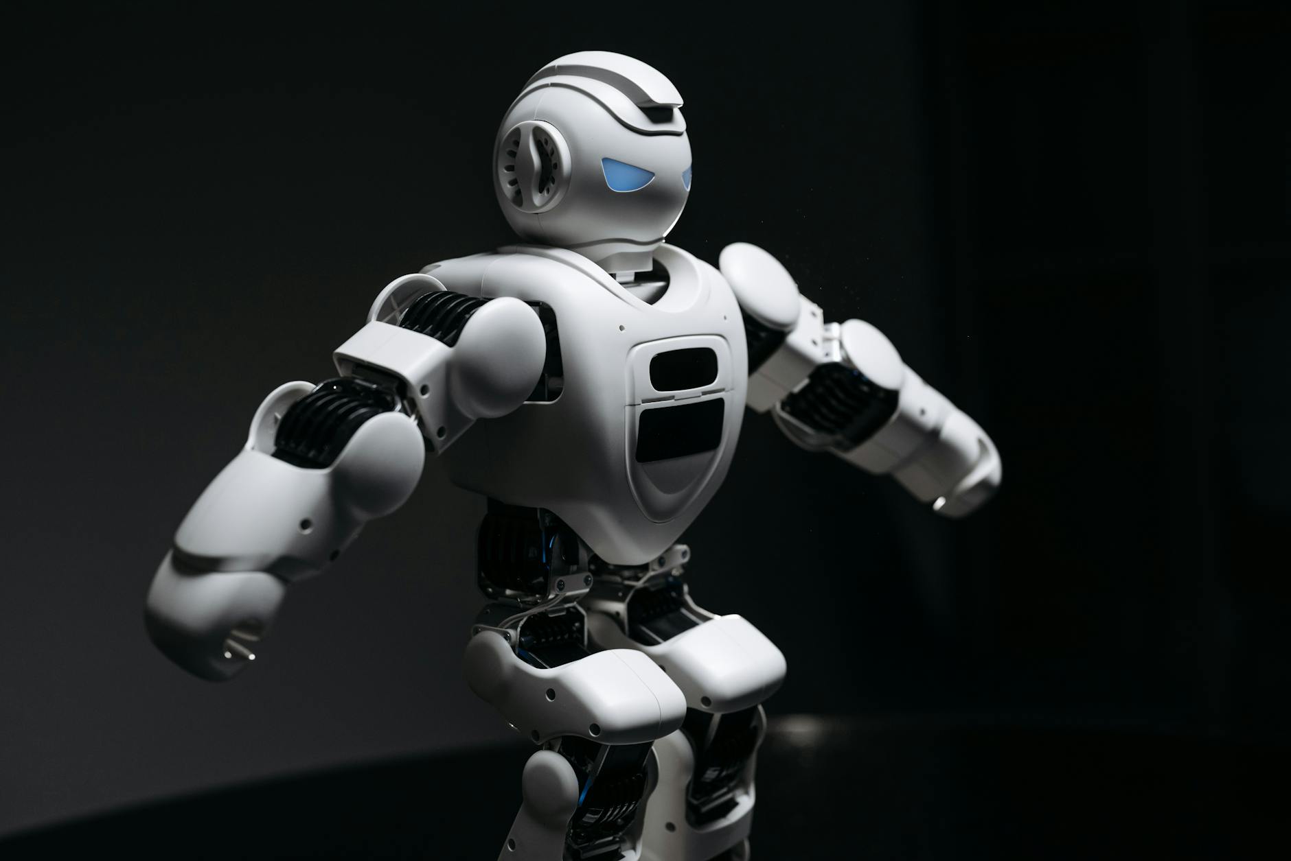 Competitive Landscape in the Humanoid Robotics Investment Space
