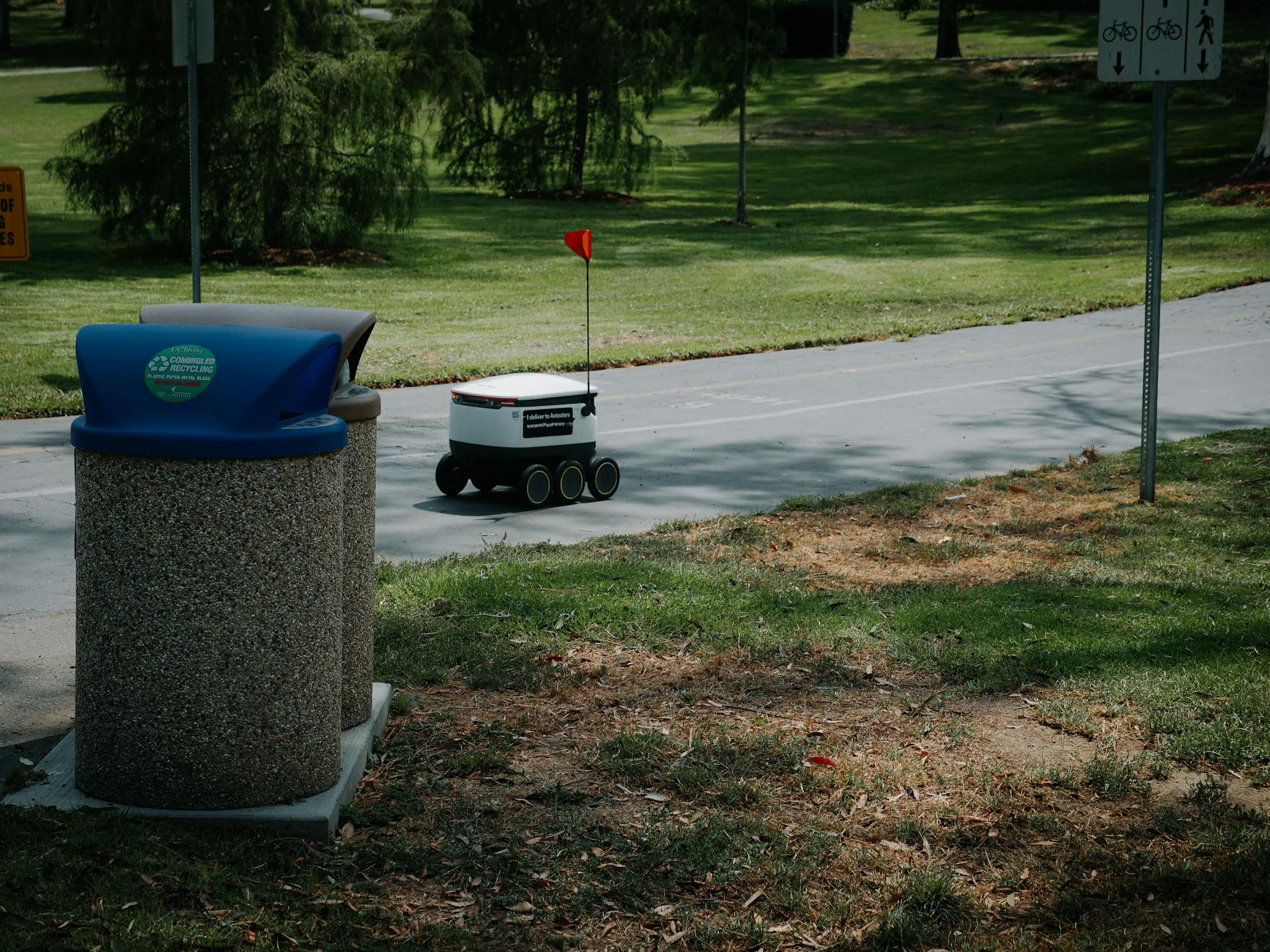 Competitive Landscape in Warehouse Robotics