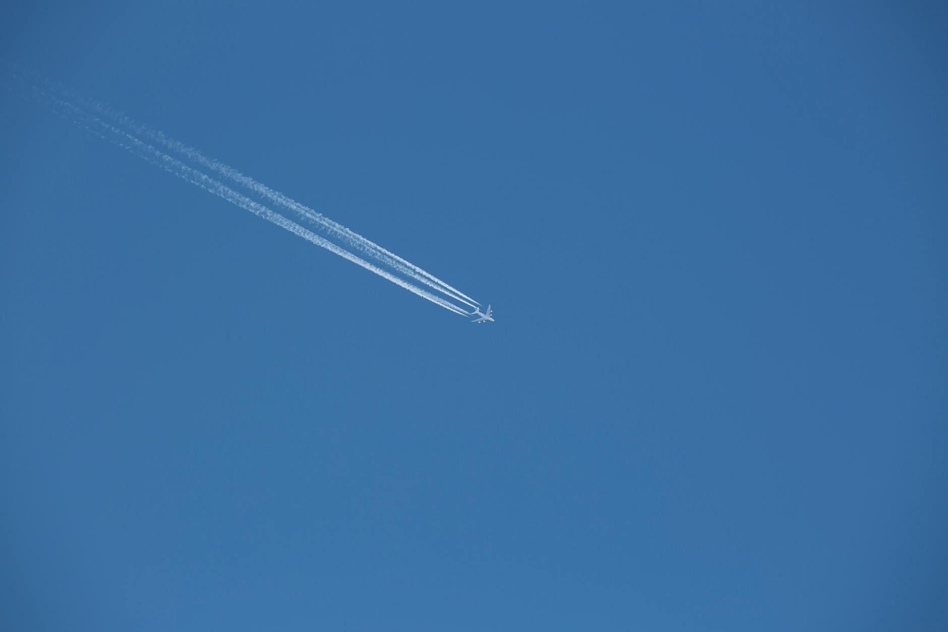 Financial Performance and Growth Trajectory of This Robotics Stock