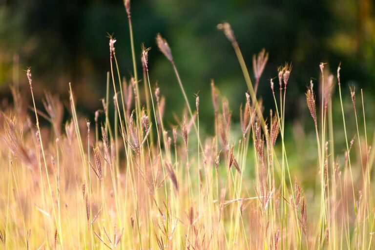 Image for Inside Figure AI's $2.6 Billion Bet on Humanoid Workers