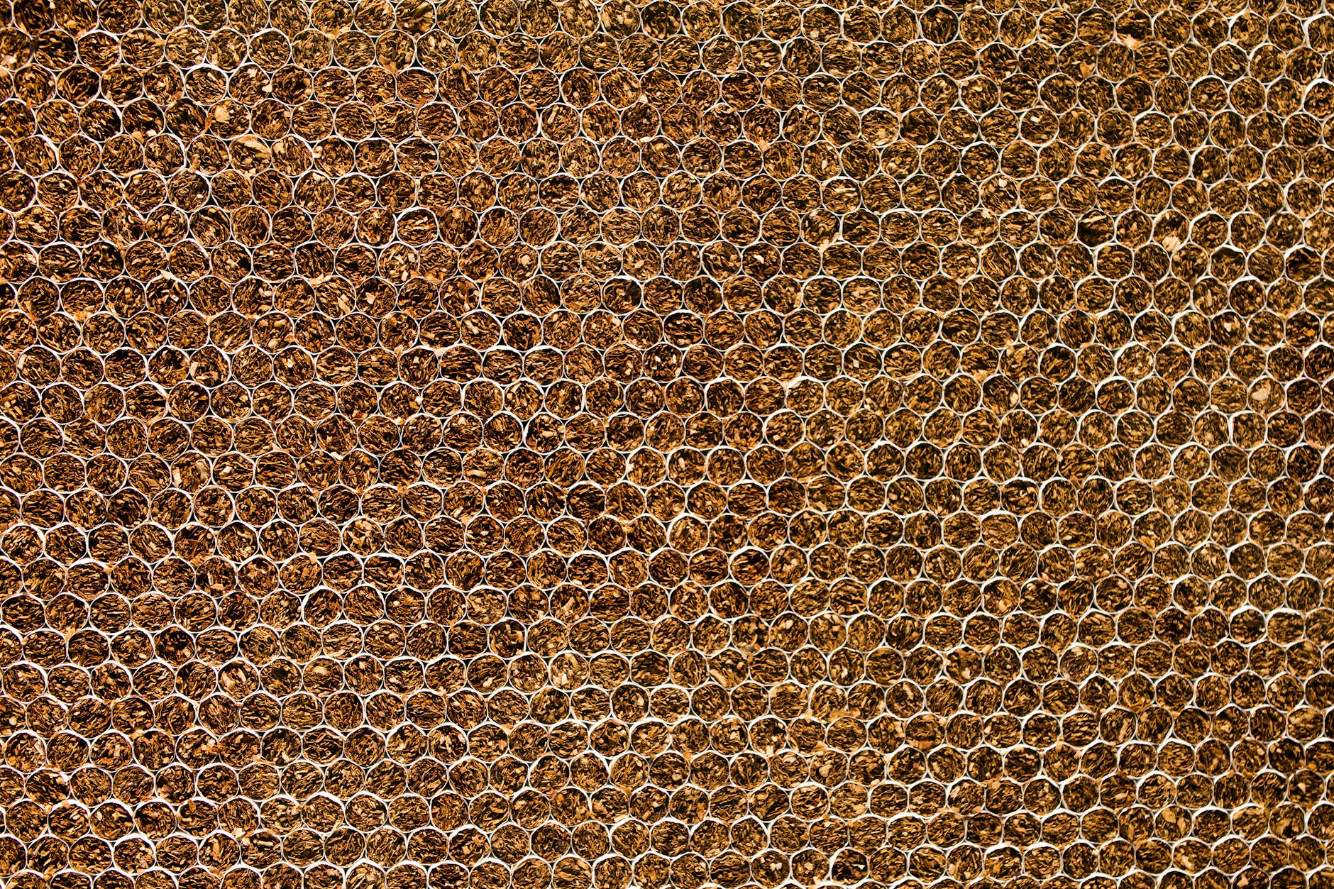 What Happened to iRobot Stock When the Amazon Acquisition Failed?