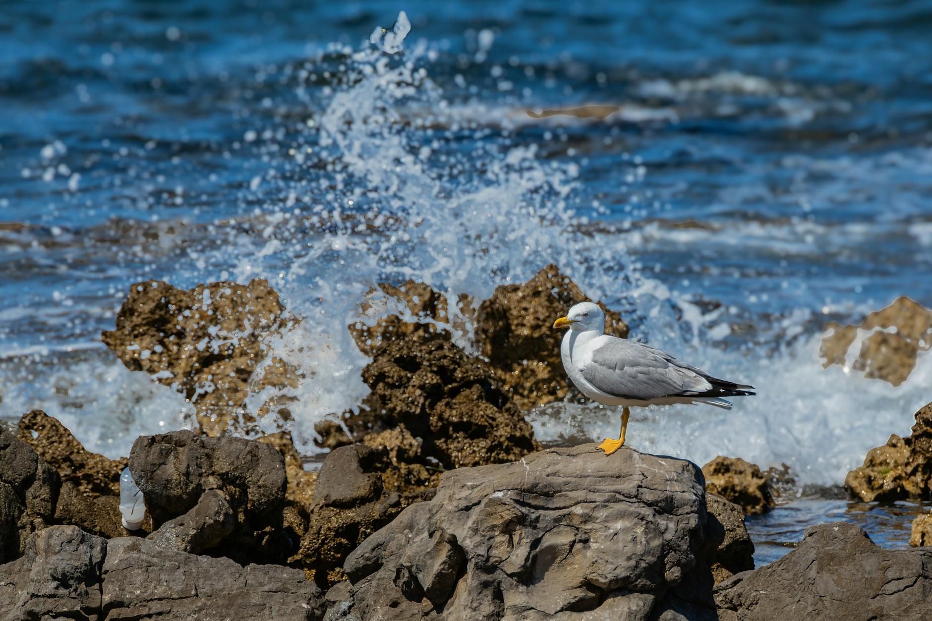 What Makes ONDS a Potential Nvidia of Drone Robotics?