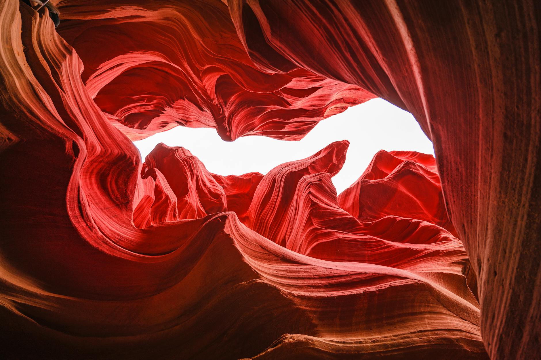 Why Is ONDS Being Called the Next Tesla of Military Robotics?