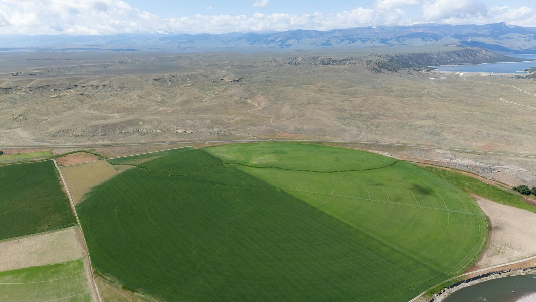 How Does the da Vinci 5 System Create the Next Growth Cycle?