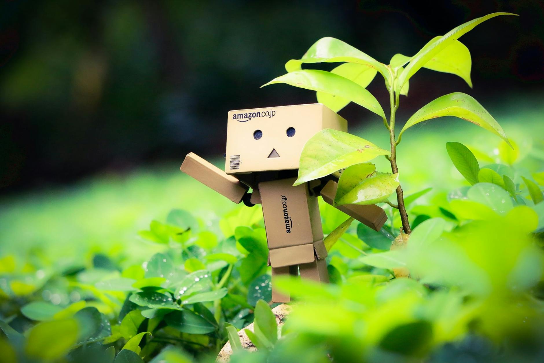 Where the Amazon Comparison Breaks Down