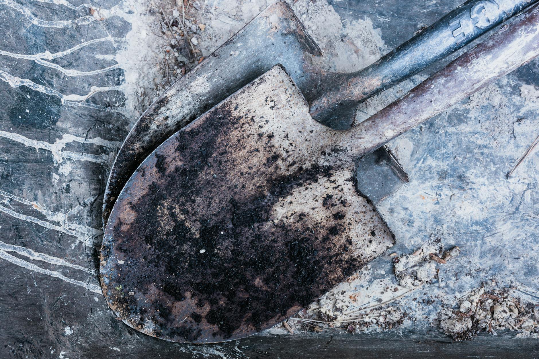 ARBE The Picks and Shovels Autonomy Supplier - Featured image