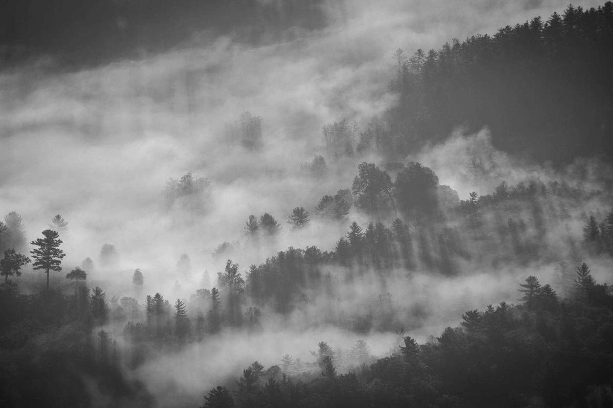 Cybersecurity and Denial Vulnerabilities