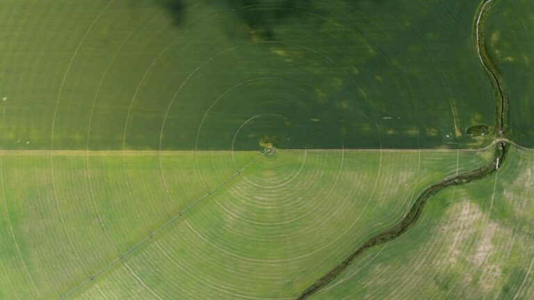 DE The Google of Precision Agriculture - Featured image