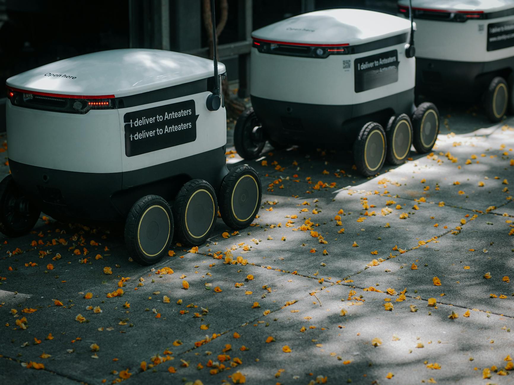 DE The Robotics Backbone of Food Production - Featured image