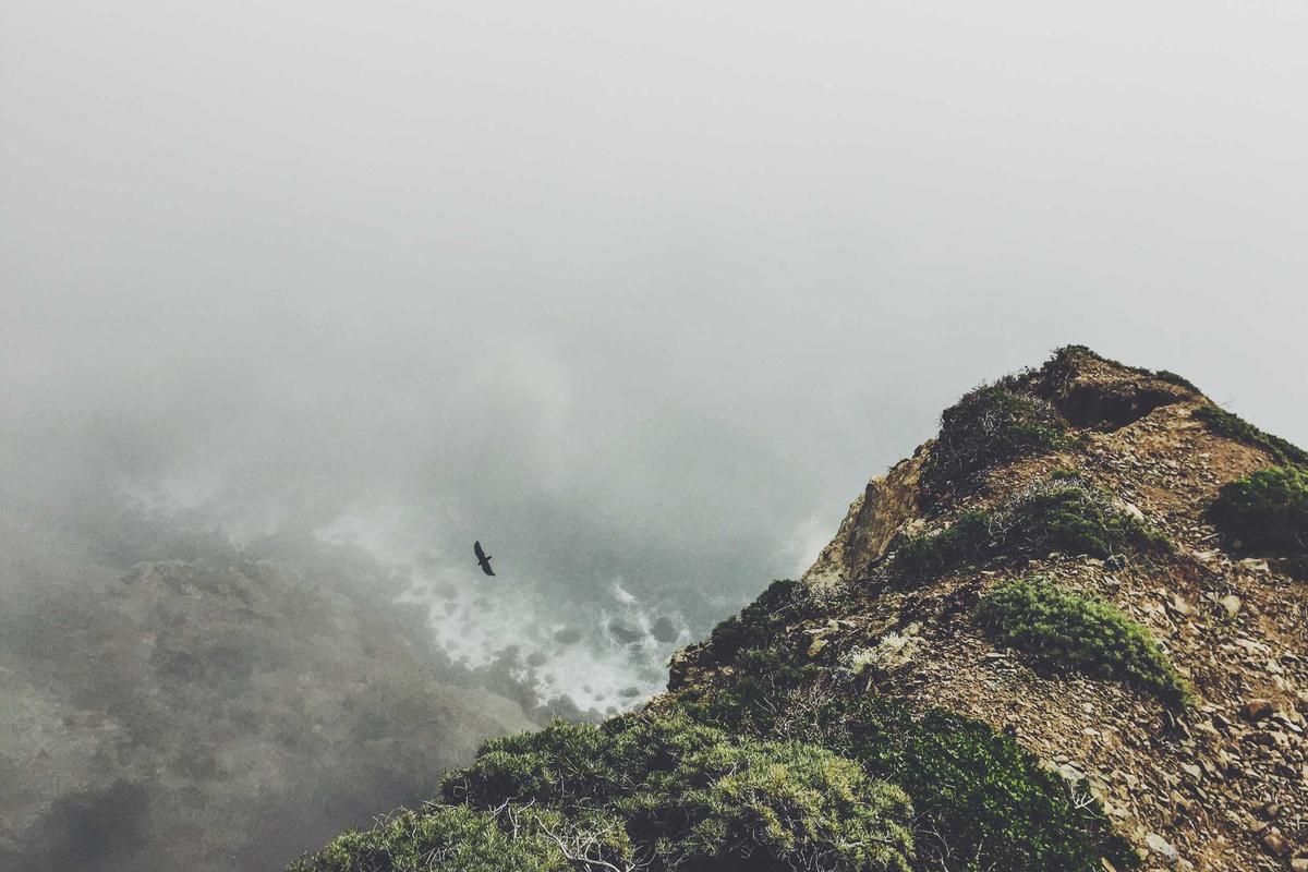 Fault Tolerance and Safety in Autonomous Systems