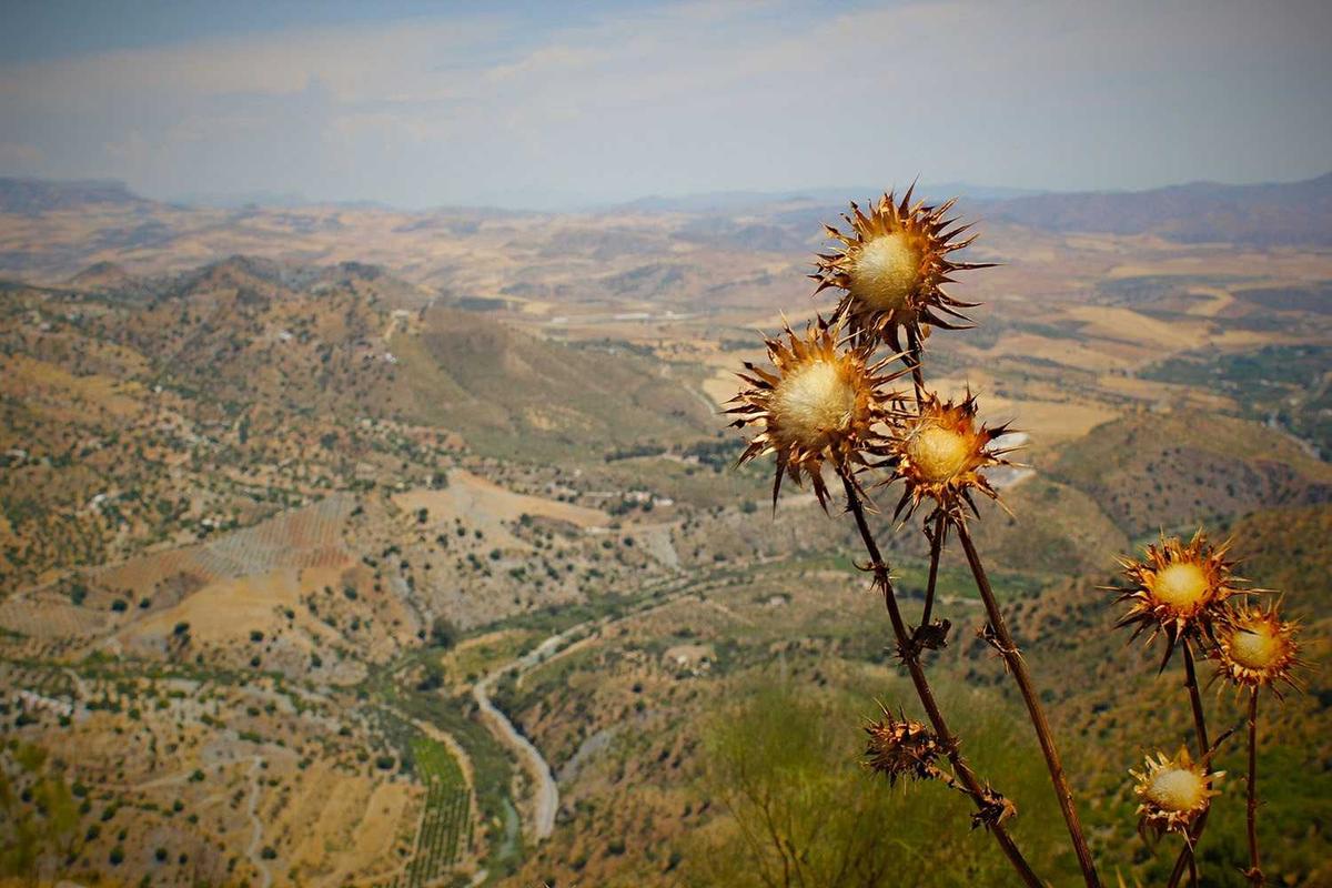 Global Deployment at Scale—1.75 Billion Devices and Growing