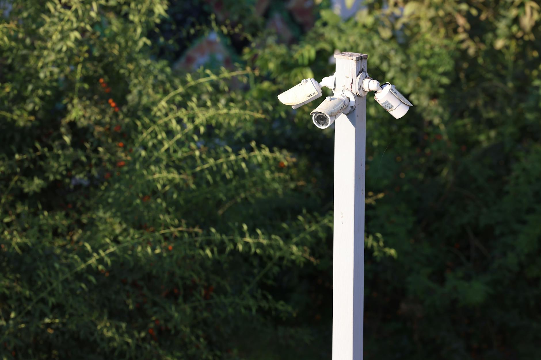 HOW DOES GFAI'S SURVEILLANCE TECHNOLOGY COMPARE TO NVIDIA'S MARKET POSITION?