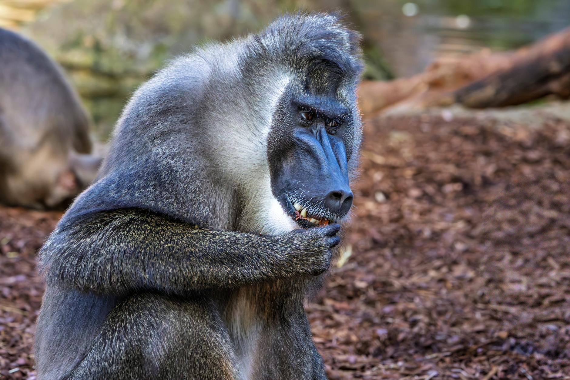 How Does KRKNF Dominate Subsea Defense Robotics Market Position?