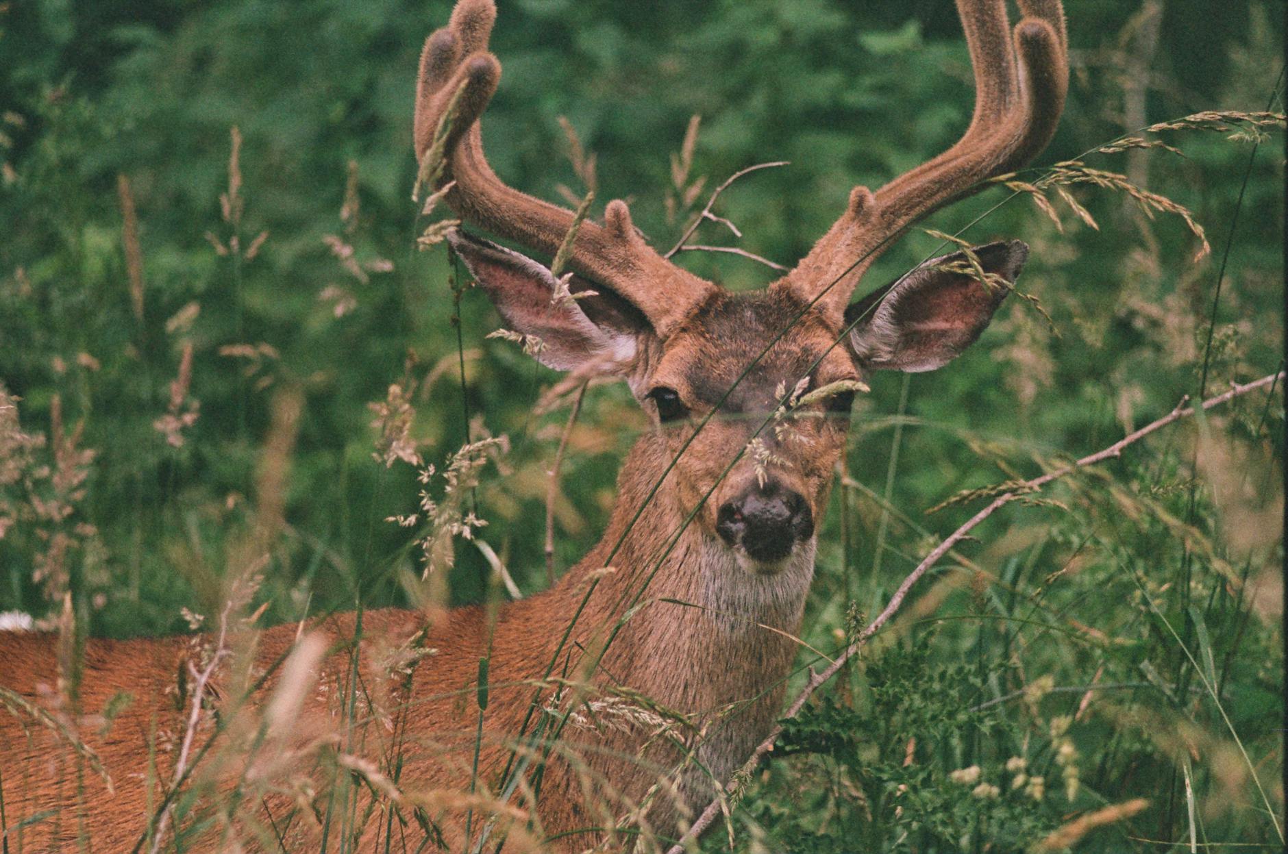 JOHN DEERE'S PRACTICAL APPROACH TO AUTONOMOUS AGRICULTURE