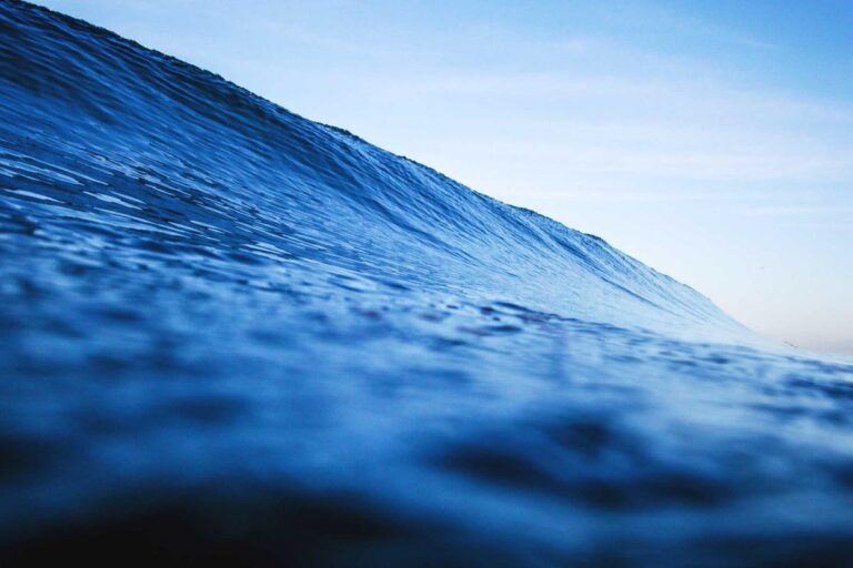 RBOT The Early Nvidia of Robotics Platforms - Featured image