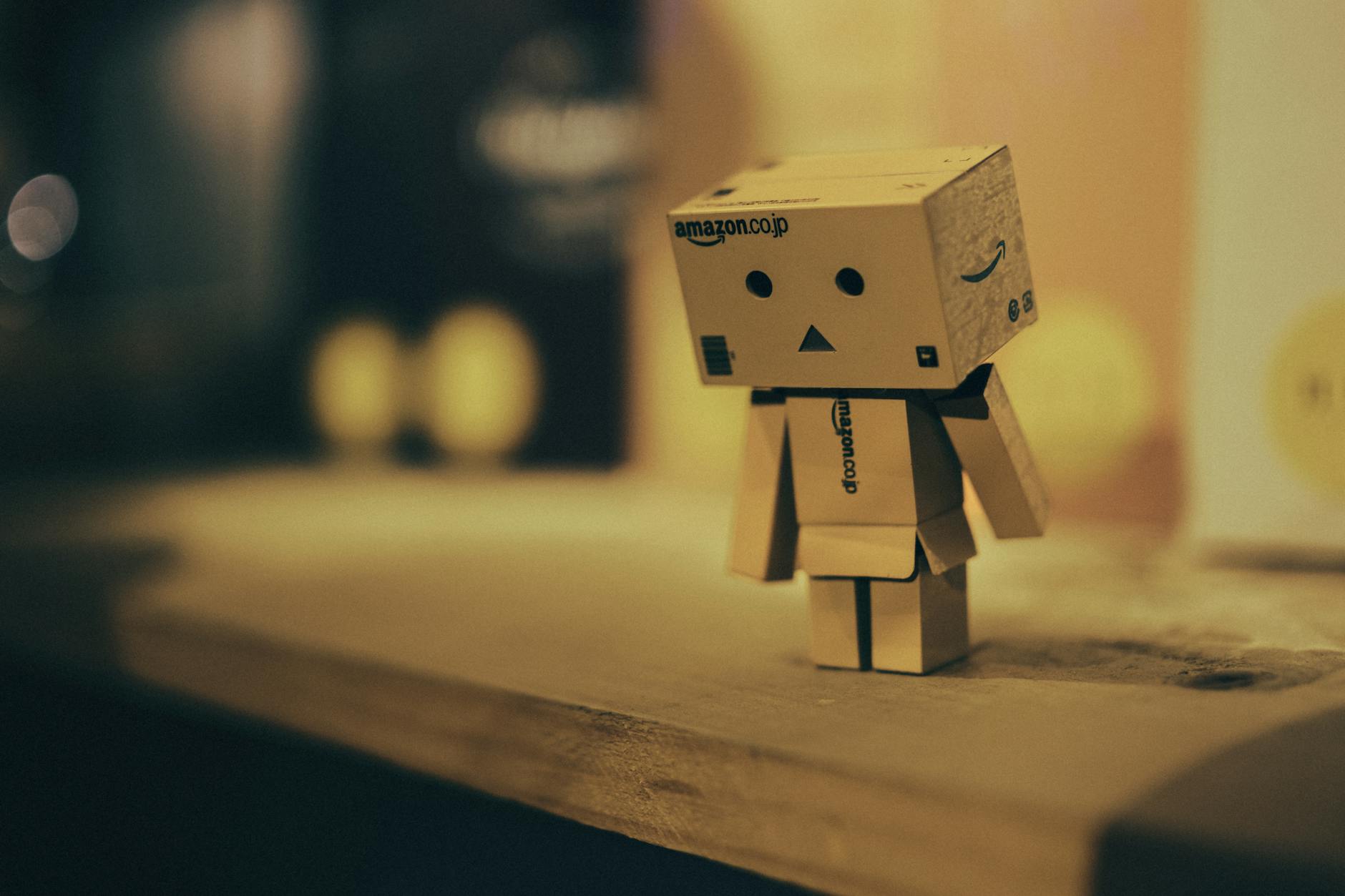 RR The Amazon of Back of House Robotics - Featured image