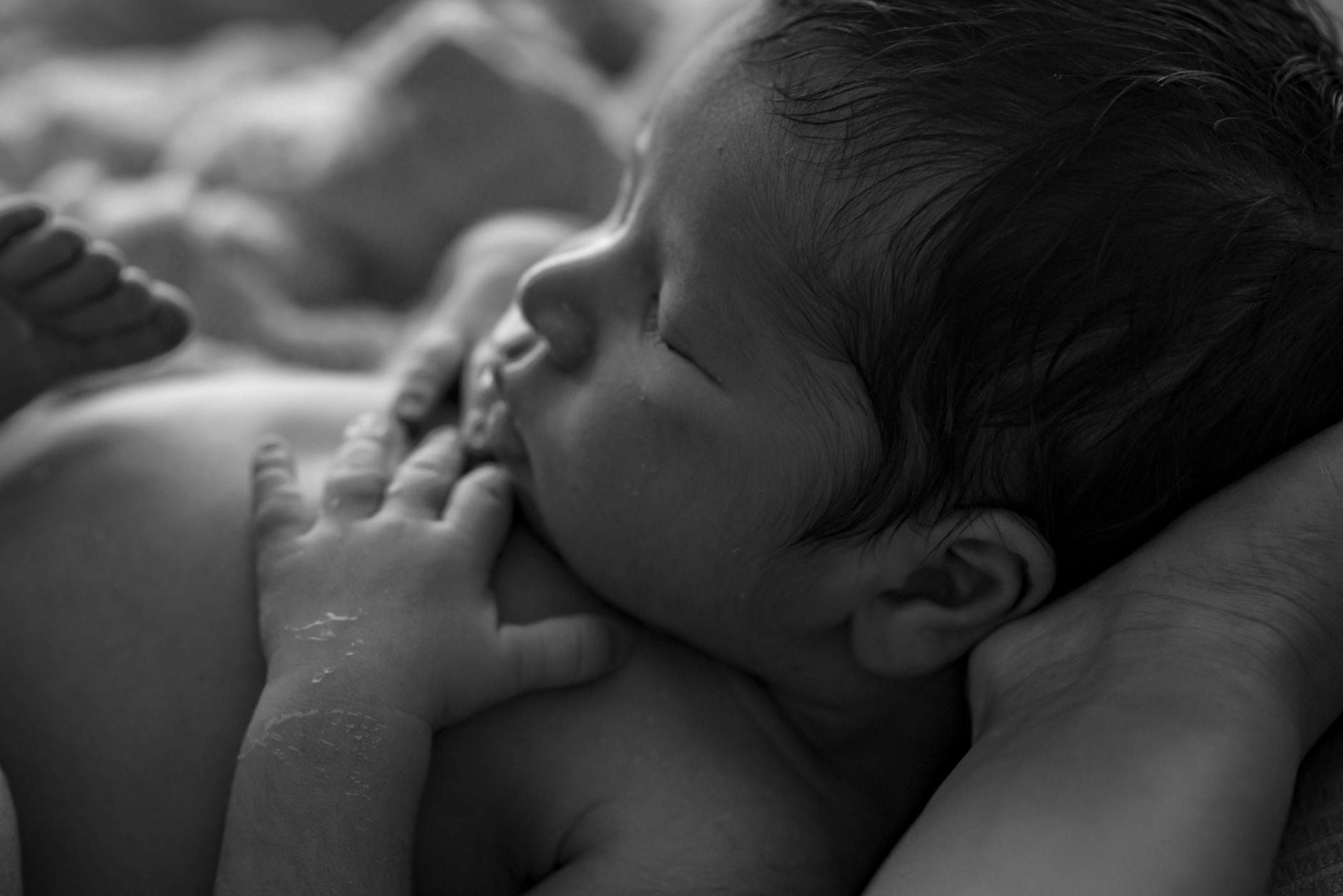 Why Did Early Labor Automation Adopters Win?