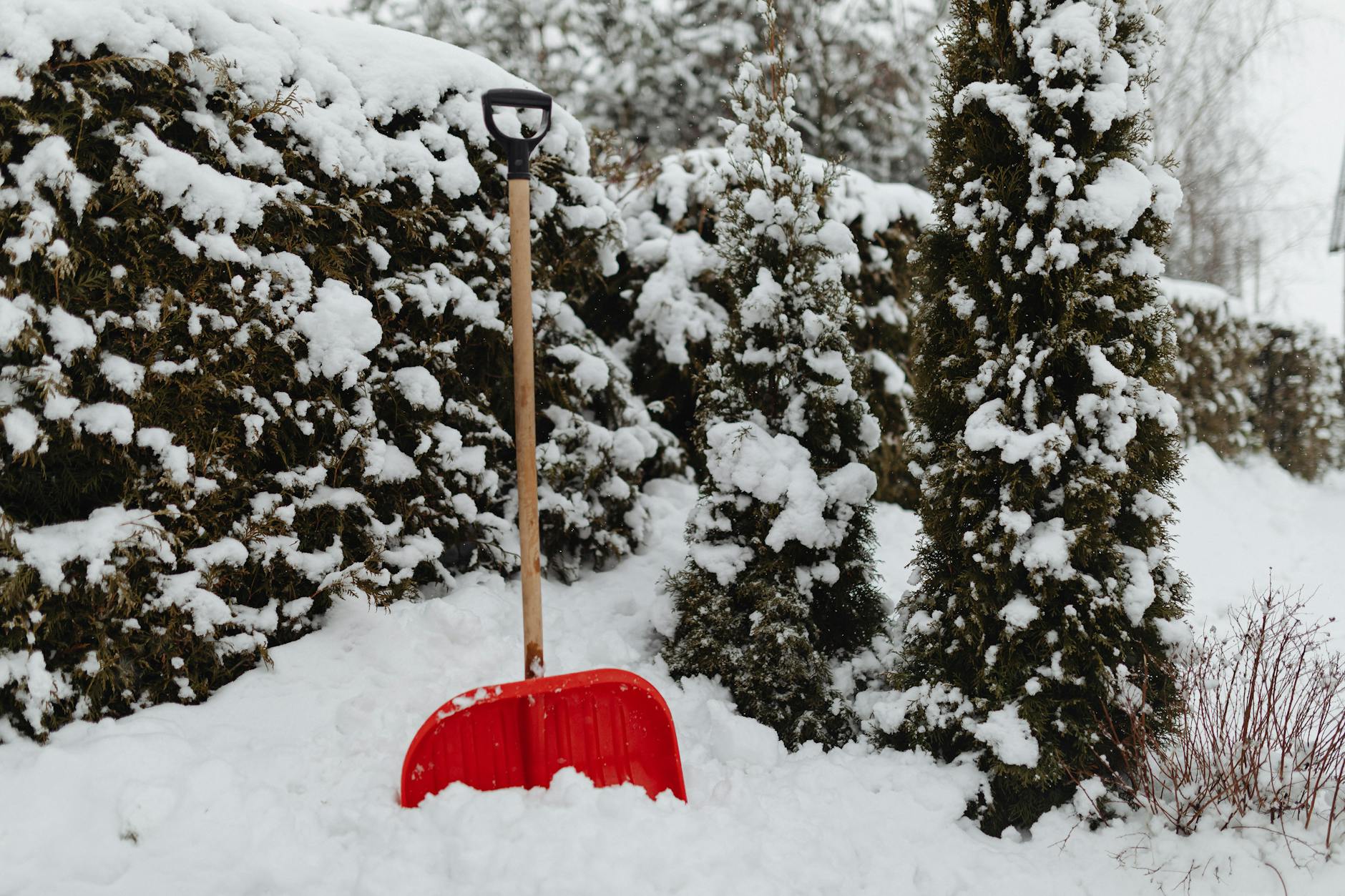 COMPARING PICKS-AND-SHOVELS VERSUS DIRECT ROBOTICS EXPOSURE
