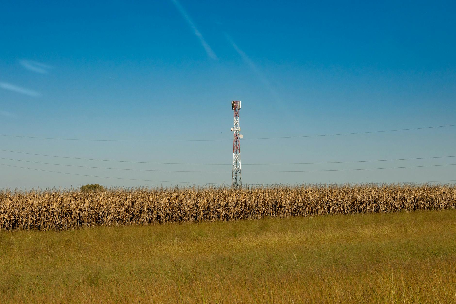 Data Network Effects and Agricultural Intelligence