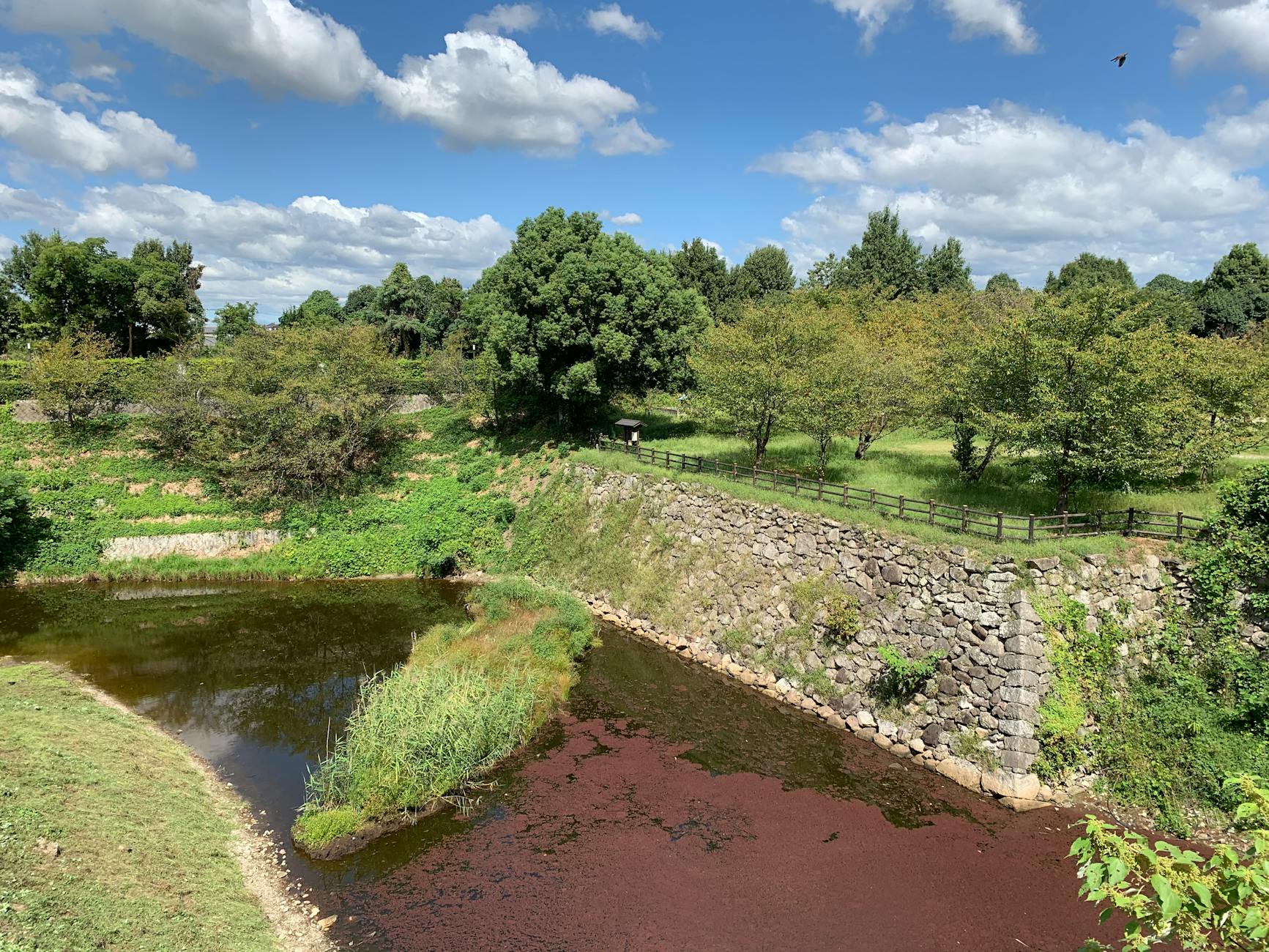 Deployment Scale as a Moat Against Competitors
