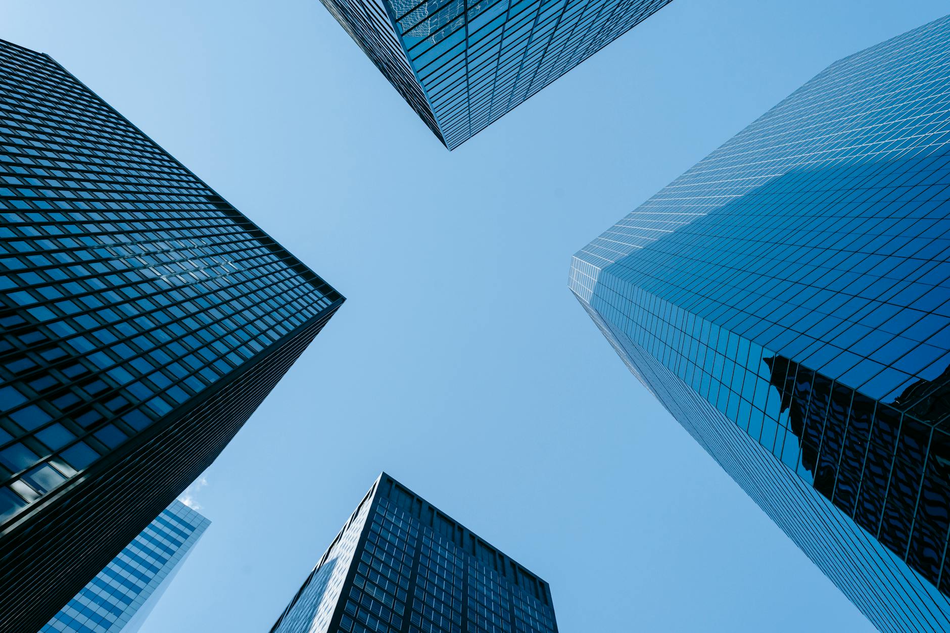 How Emerging Companies Are Competing Against Established Players