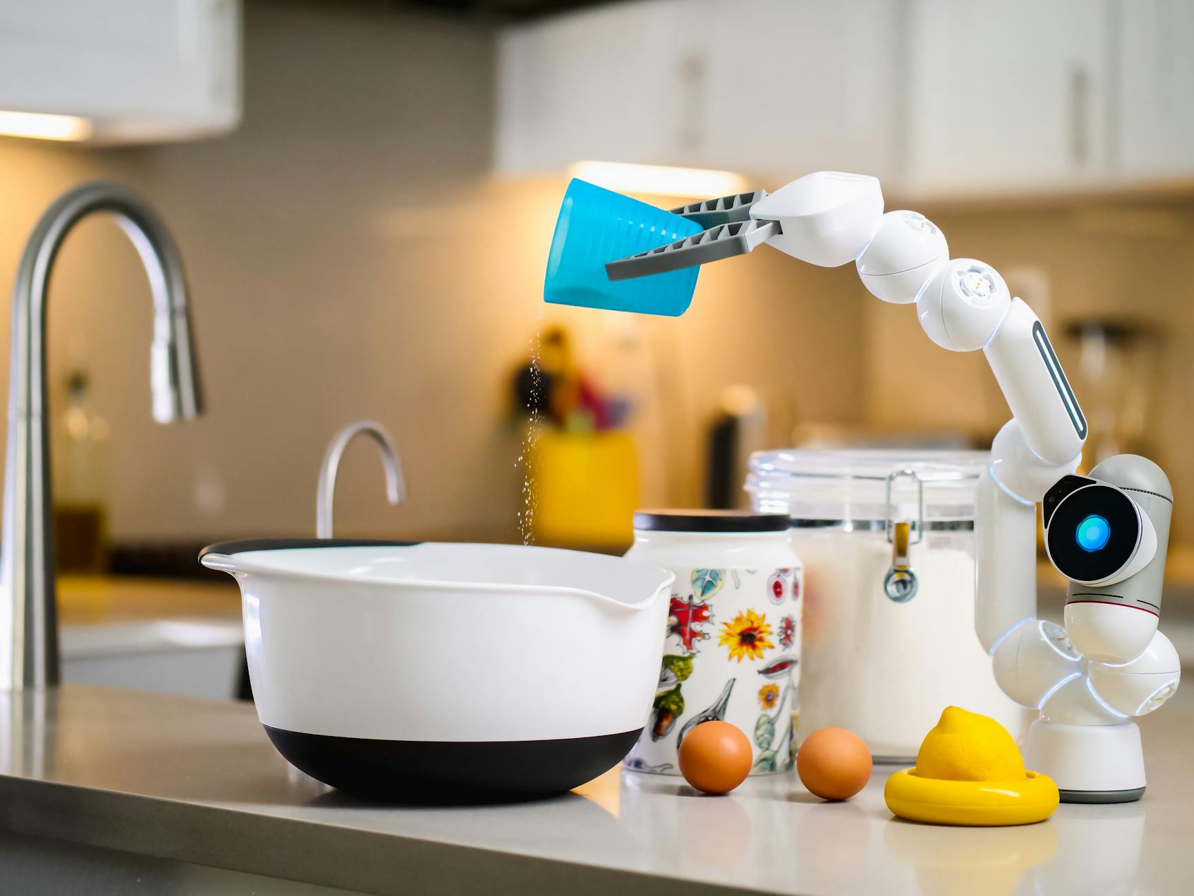Is the Home Robotics Market Ready for Mainstream Adoption?