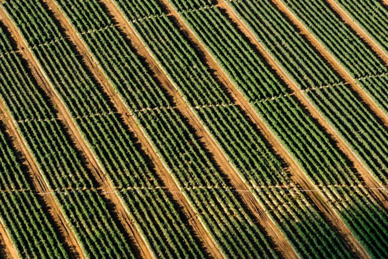 KTOS The Google of Autonomous Defense Systems - Featured image