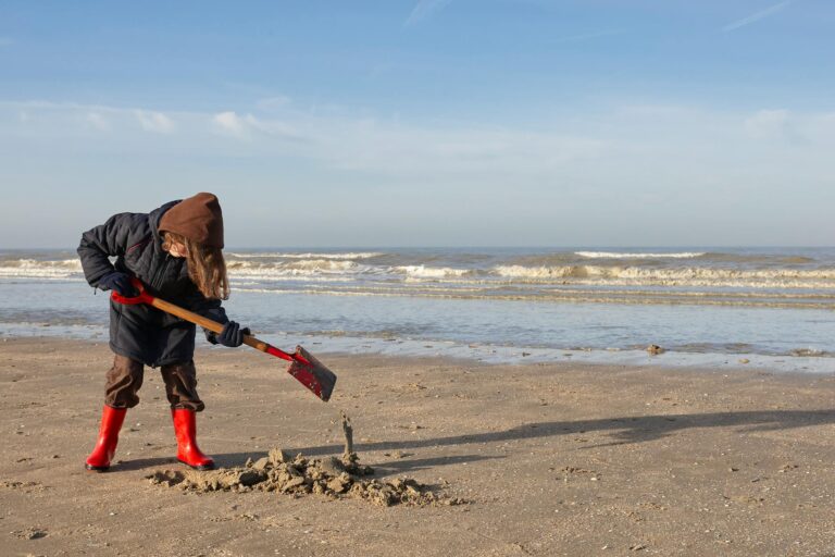 OII The Picks and Shovels Ocean Robotics Play - Featured image