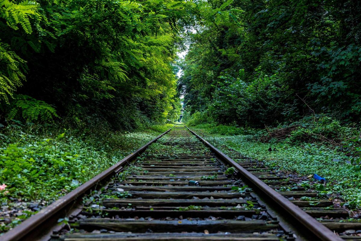 Profitability Challenges and Operational Risks