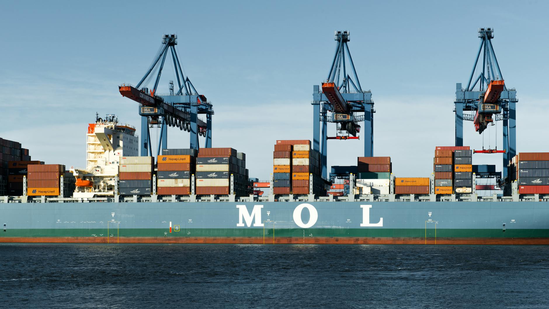 The Competitive Moat of Specialized Expertise and Customer Lock-In