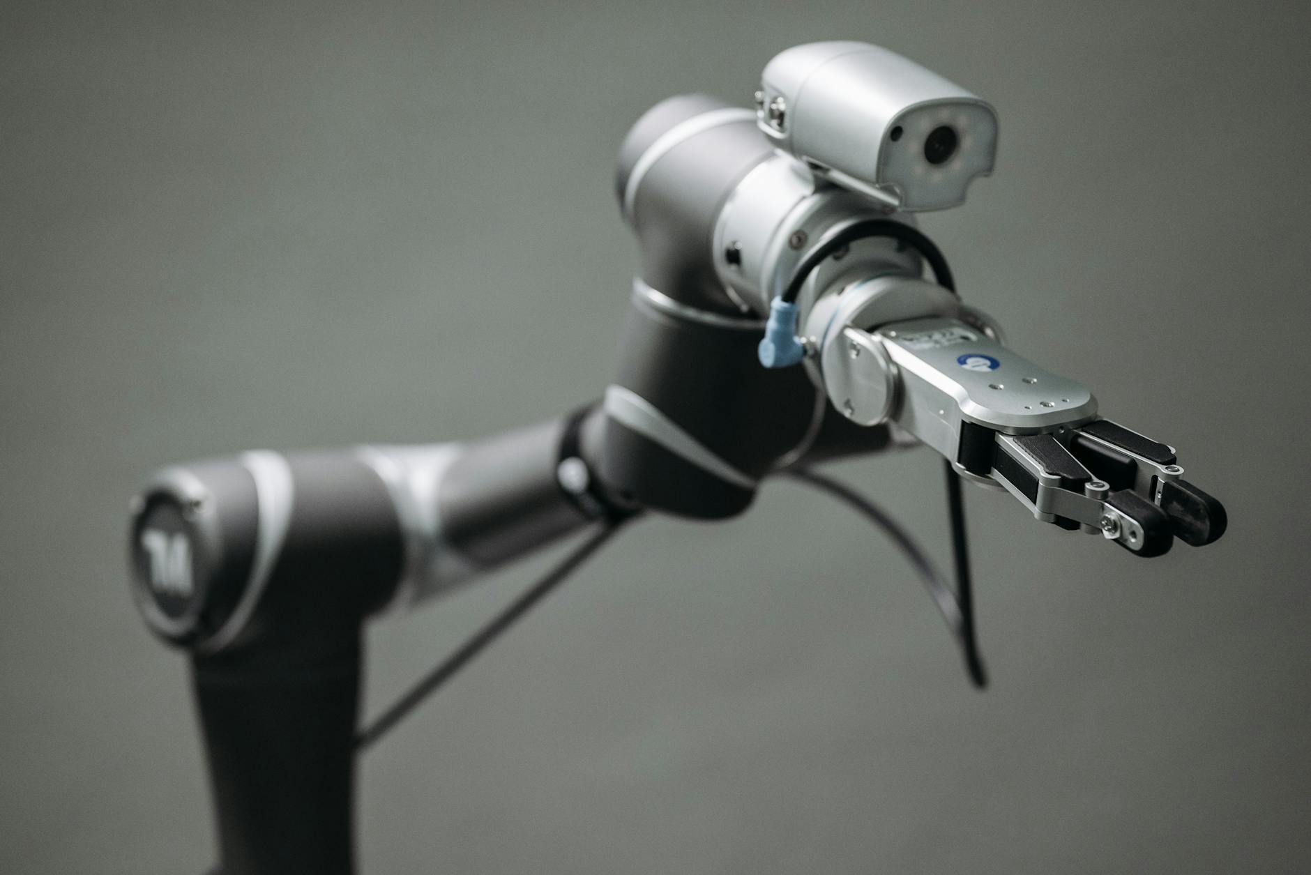 The Next Nvidia in Robotics Might Be a Robotics Vision Leader - Featured image