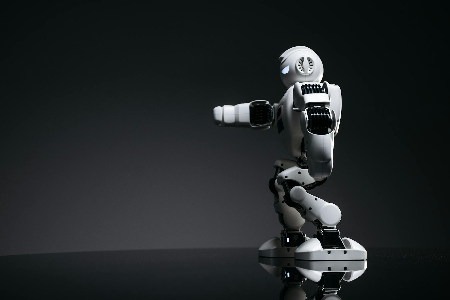 The Risks and Limitations of Government Robotics