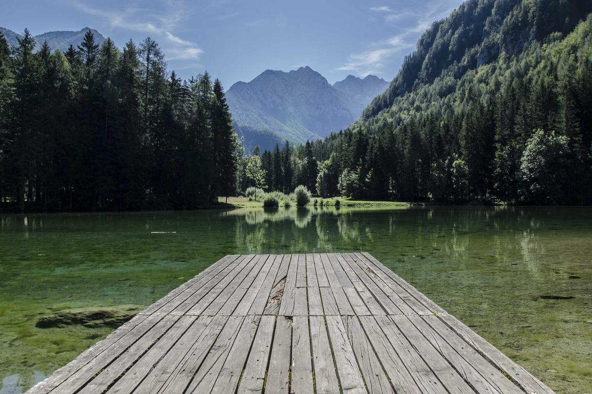 The Software and Integration Moat