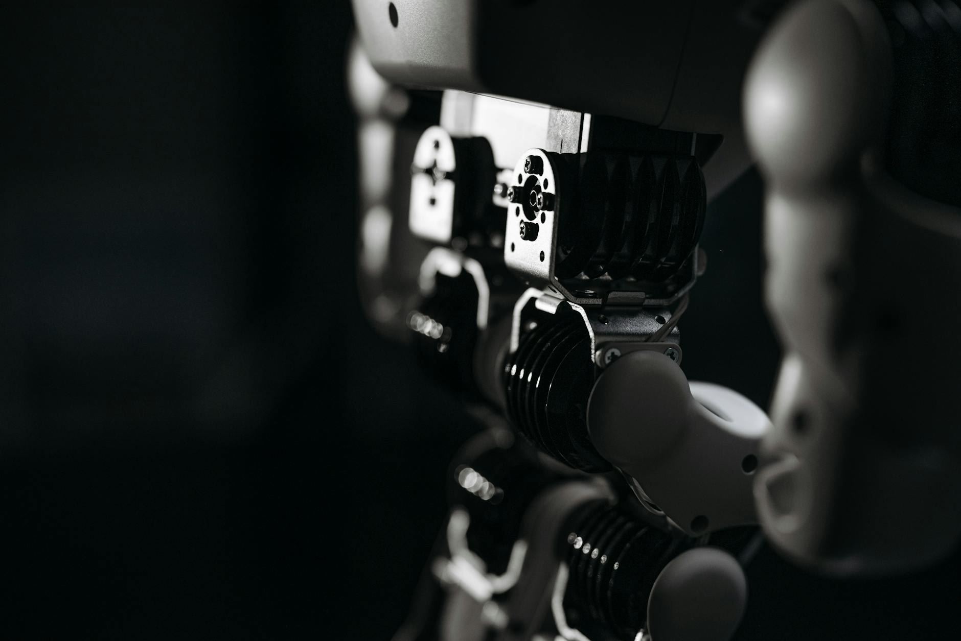 The Sustainability Challenge: Can Software Dominance Persist Without Hardware Control?