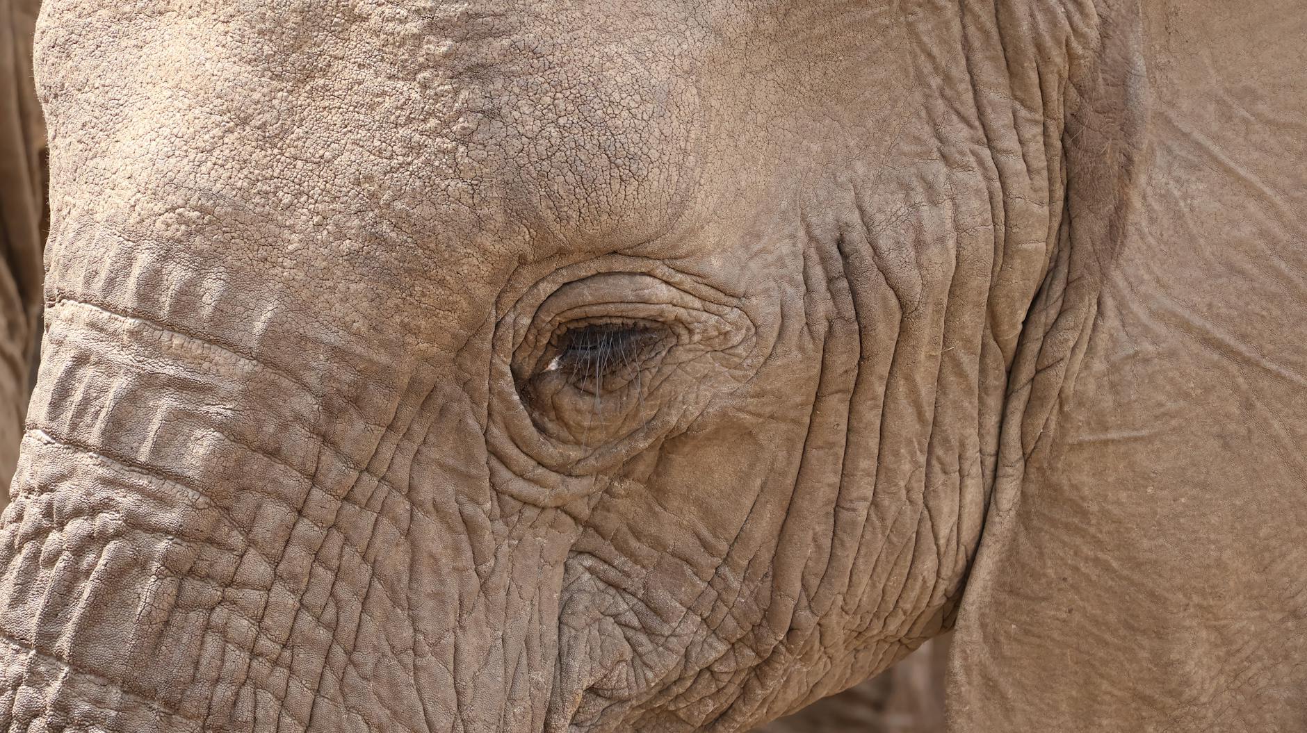 Where Hidden Giants Are Making Their Move