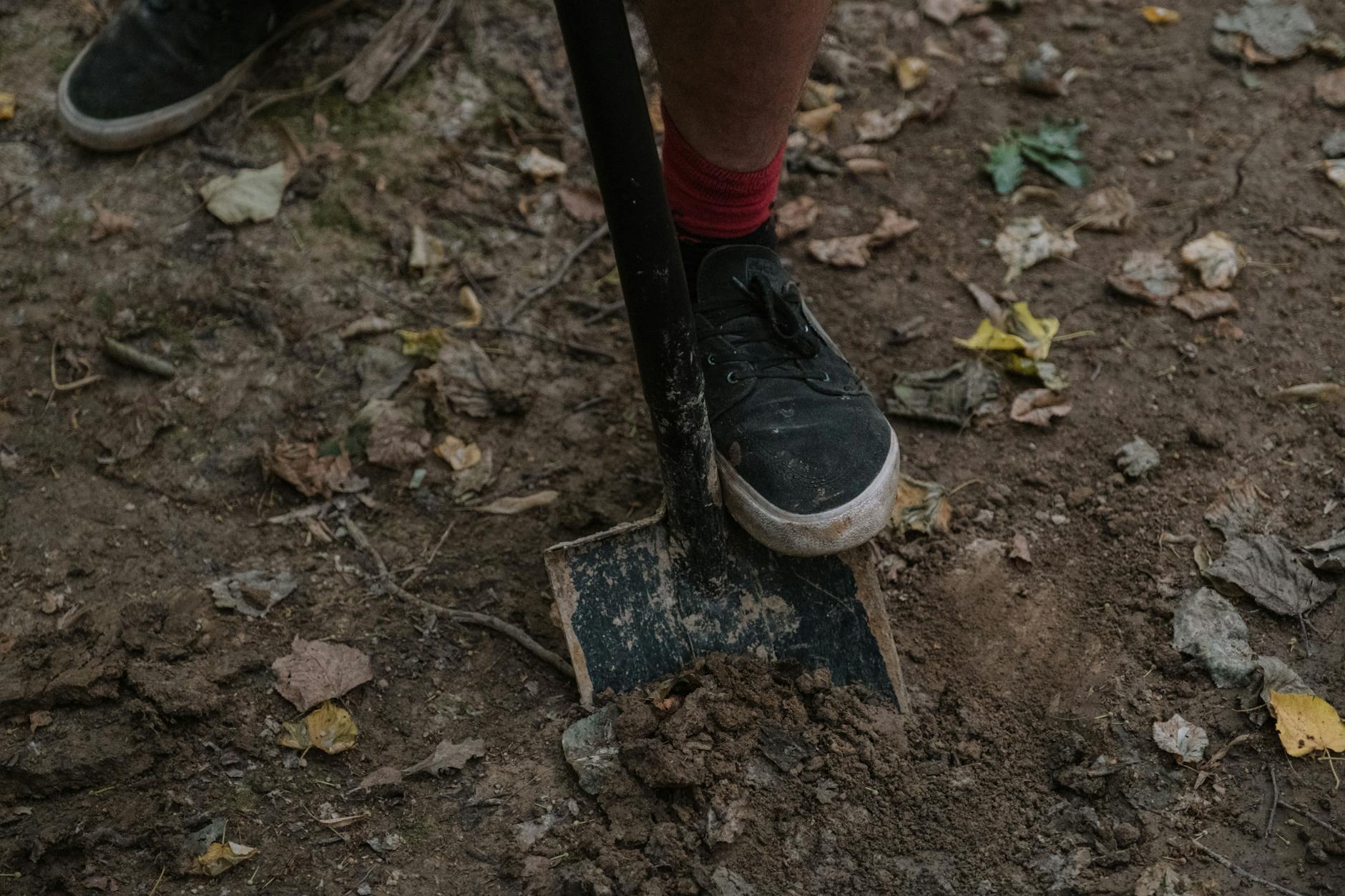 Why Picks and Shovels Infrastructure Outperforms Robot Makers