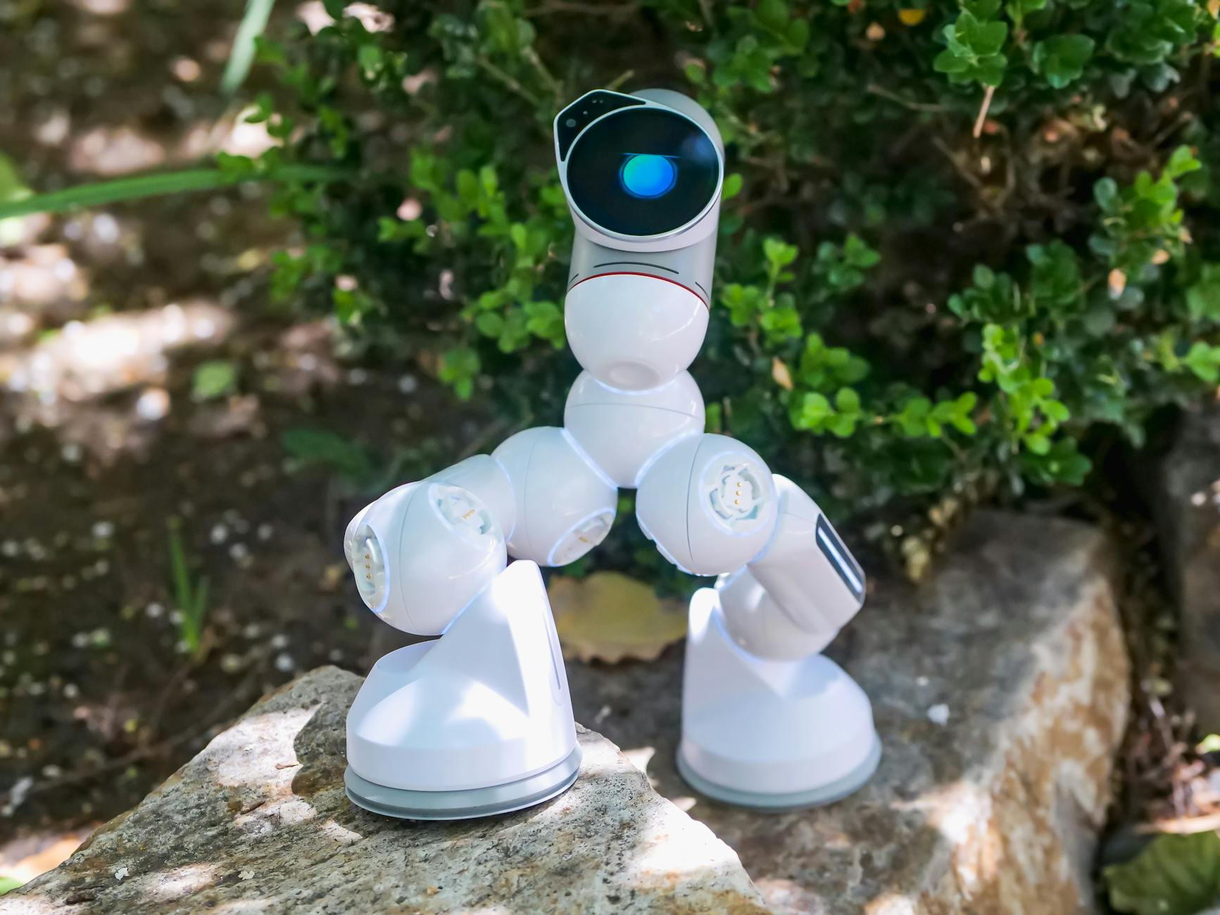 Why Sensor Companies Face Different Challenges Than Nvidia