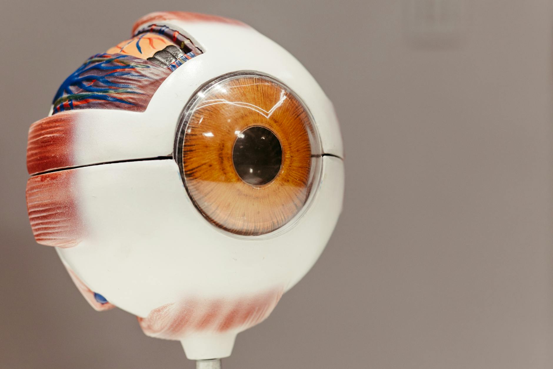 Why Vision Technology Is the Critical Bottleneck in Physical AI
