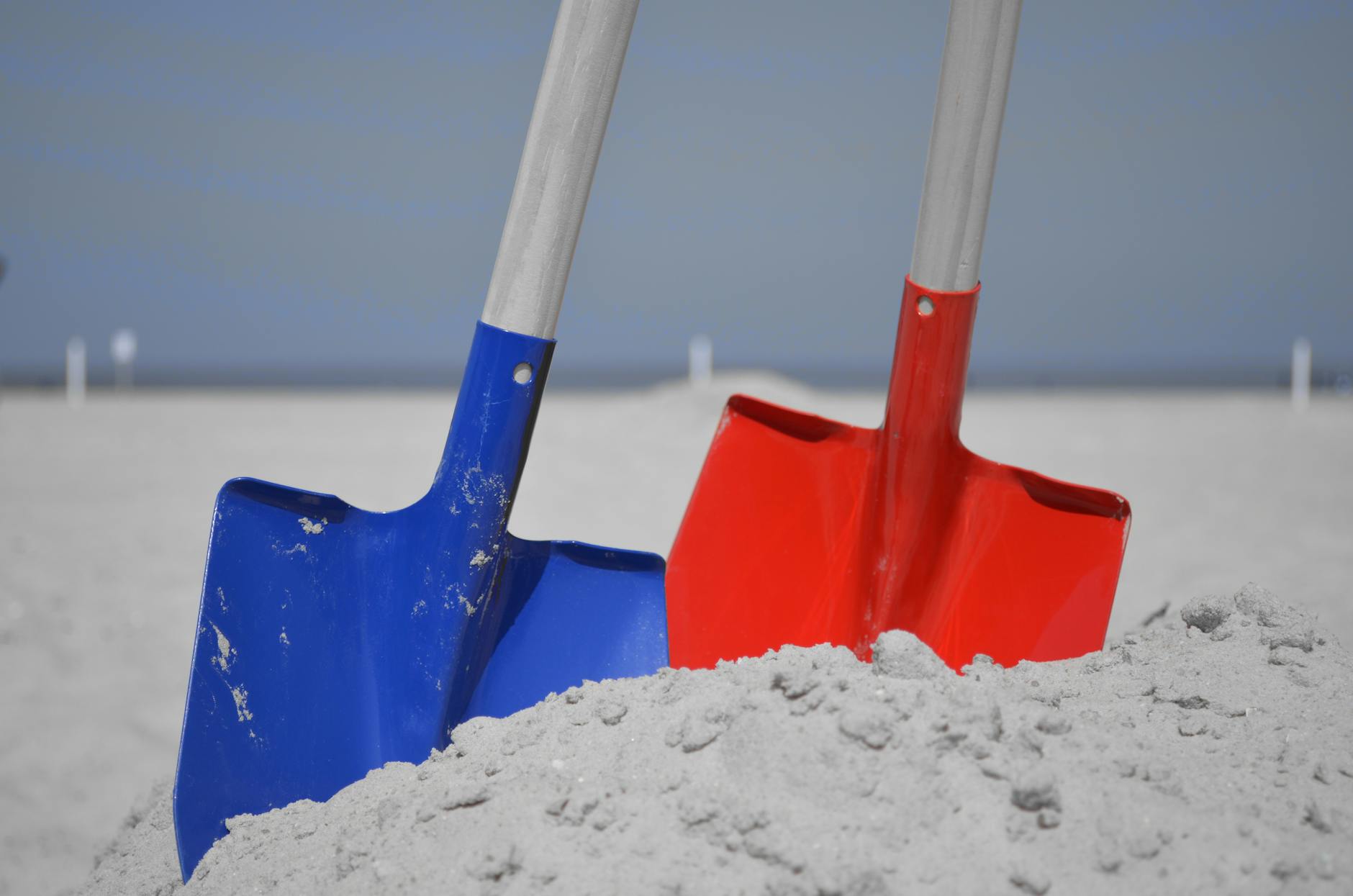 ZBRA The Picks and Shovels Logistics Stock - Featured image